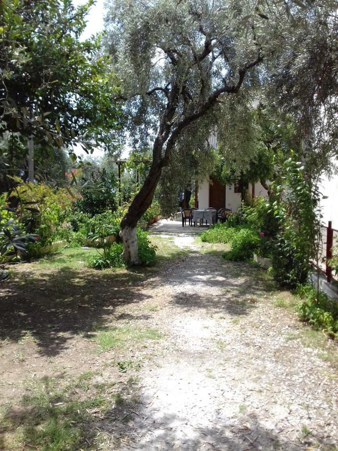 Koutadelias Rooms Κάλαμος Εξωτερικό φωτογραφία